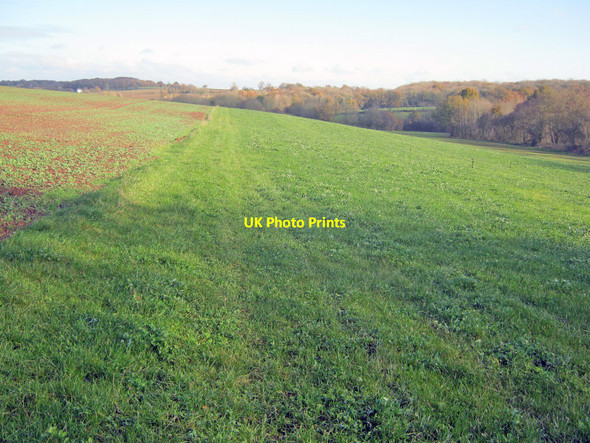 Photo 6"x4" Farmland south of Ganderland Wacton\/SO6157 c2010