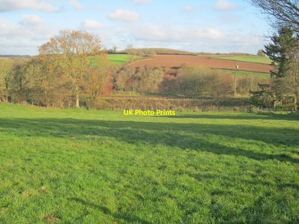 Photo 6"x4" Railway embankment at Wacton Wacton\/SO6157 c2010