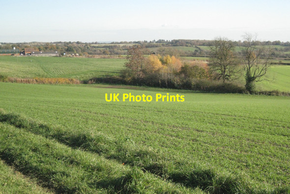 Photo 6"x4" Spinney below Church Road, Claverdon Claverdon c2010