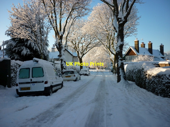 Photo 6"x4" Holly Grove off Laburnum Avenue, Hull Kingston upon Hull c2010