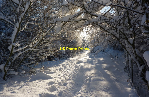 Photo 6"x4" Reserve footpath under snow Bolsover c2010