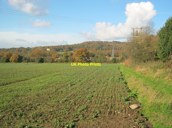 Photo 6"x4" Farmland south of Bardon Hill Bardon\/SK4512 c2010
