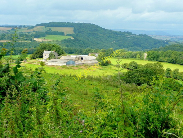 Photo 6"x4" Great Marstow Farm Kiln Green\/SO6019 c2009