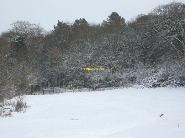 Photo 6"x4" Snowy meadow  Biddulph c2010