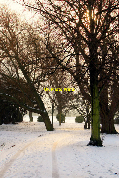 Photo 6"x4" Trees and snow Long Eaton c2010