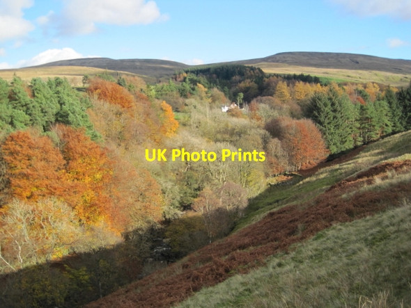 Photo 6"x4" Uldale near Needle House Fell End\/SD7298 c2010