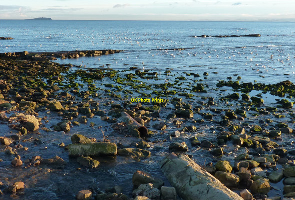 Photo 6"x4" Broken pipe Anstruther Easter c2010