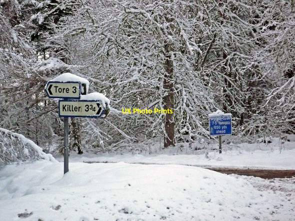 Photo 6"x4" Crossroads on the Munlochy to Knockbain road at Bellton Wood Munlochy c2010
