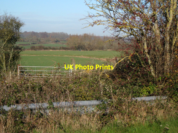 Photo 6"x4" Fields near Podimore Podimore c2010