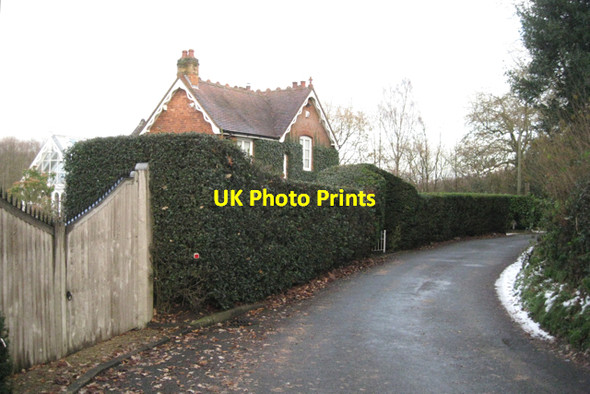 Photo 6"x4" Hedge, 'Rosedene', Mill Pool Lane B93 Packwood Gullet c2010