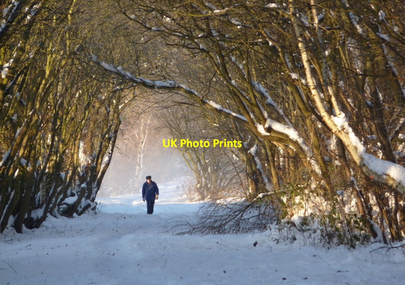 Photo 6"x4" Winter view along the Stockley trail Bolsover c2010