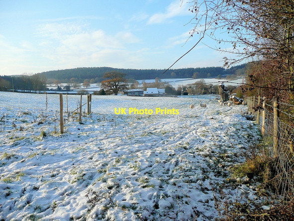 Photo 6"x4" Upper Littlehope Fiddler's Green\/SO5735 c2010