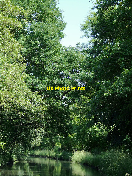 Photo 6"x4" Staffordshire and Worcestershire Canal near Calf Heath, Staffordshire Calf Heath c2010