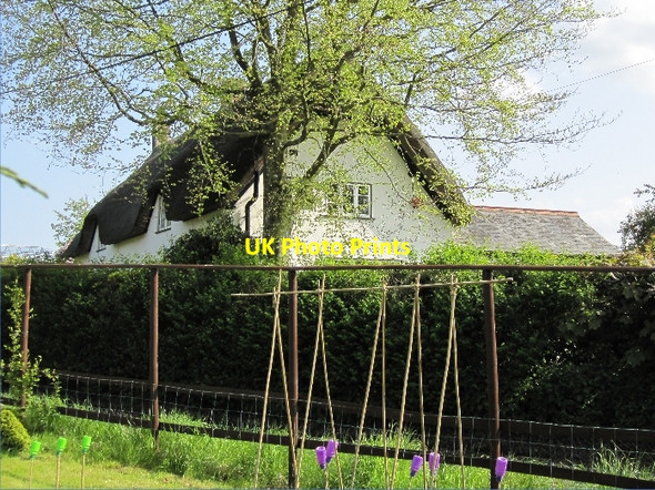 Photo 6"x4" Five Chimneys Child Okeford c2010