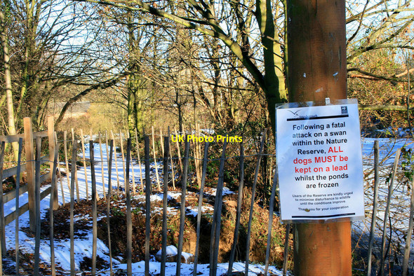 Photo 6"x4" Notice to dog owners Beeston\/SK5236 c2010