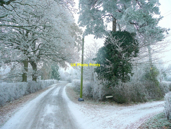 Photo 6"x4" Bulley Lane 1 Birdwood c2010