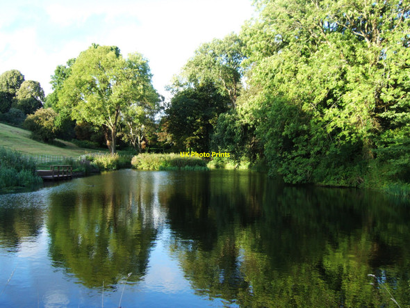 Photo 6"x4" Sneyd Park nature reserve - looking over the pond Sneyd Park c2010