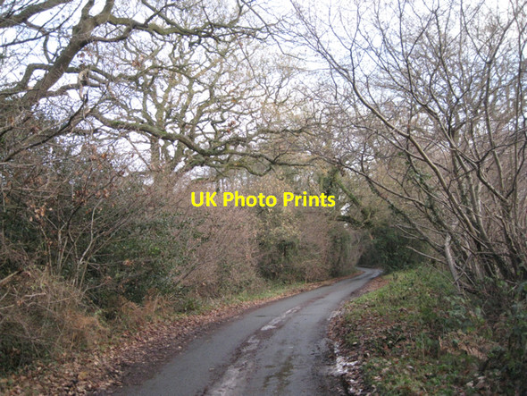 Photo 6"x4" Mill Pool Lane B93 Packwood c2010