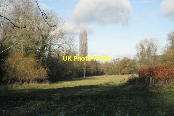 Photo 6"x4" Brook Meadow Nature Reserve SSSI Norton Green\/SP1774 c2010