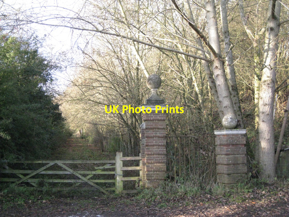 Photo 6"x4" Disused rear drive to 'Parkfield', Darley Green Norton Green\/SP1774 c2010