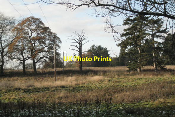 Photo 6"x4" Derelict parkland, Darley Green Norton Green\/SP1774 c2010