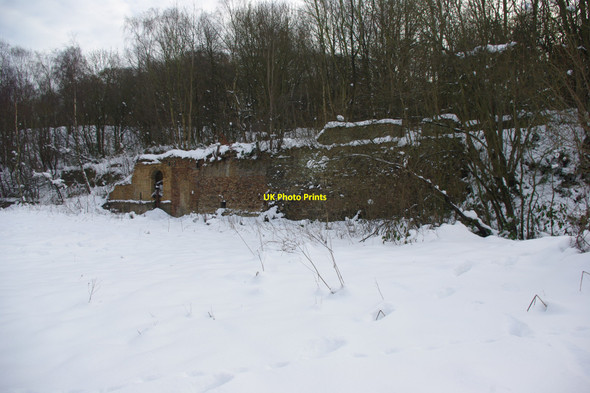 Photo 6"x4" Blaydon Burn nature reserve Blaydon c2010