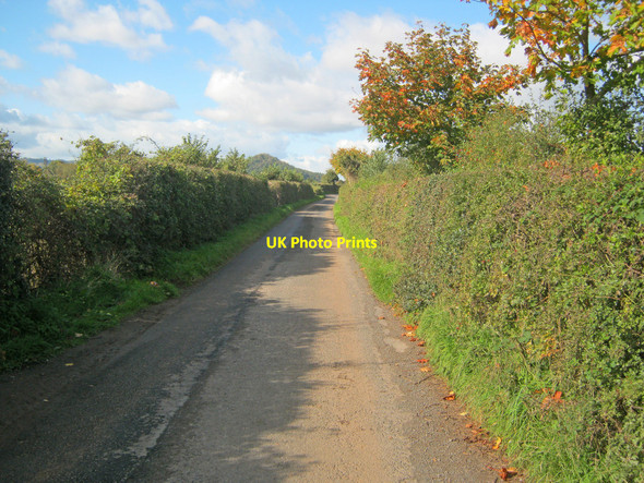 Photo 6"x4" Lane to Derndale Canon Pyon c2010