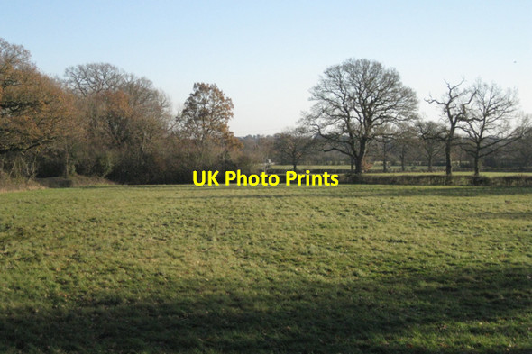 Photo 6"x4" Pasture near Norton Green Farm Rotten Row\/SP1875 c2010