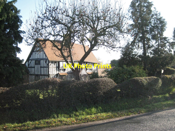 Photo 6"x4" Hedge and apple tree, Norton Green Farm Rotten Row\/SP1875 c2010