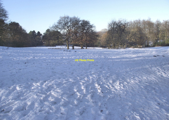 Photo 6"x4" Wintry pastures Biddulph c2010
