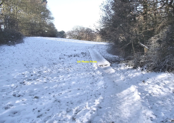 Photo 6"x4" Boardwalk on the pasture Biddulph c2010