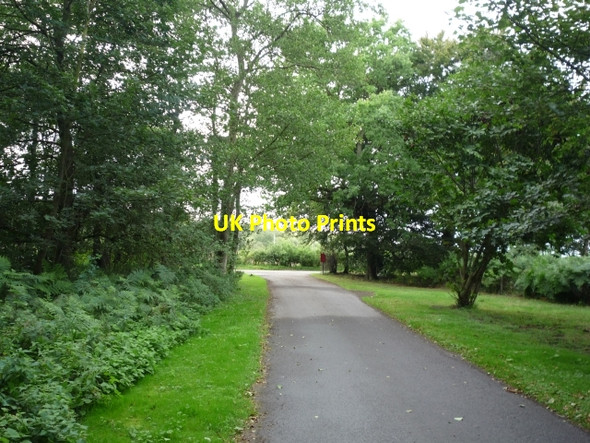 Photo 6"x4" Meeting Race Lane Fawdington c2010