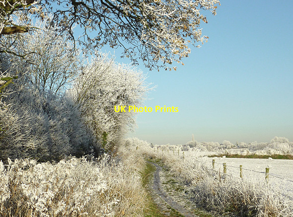 Photo 6"x4" Track and frosted trees near Colton Hills, Staffordshire Sedgley c2010