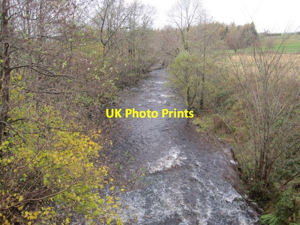 Photo 6"x4" Barbon Beck Barbon c2010