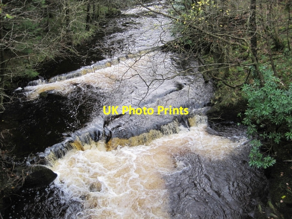 Photo 6"x4" Barbon Beck Barbon c2010