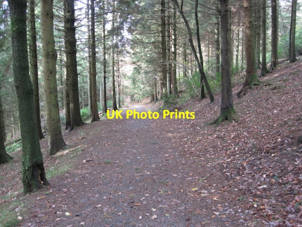 Photo 6"x4" Bridleway and Drive through Barbondale Barbon c2010