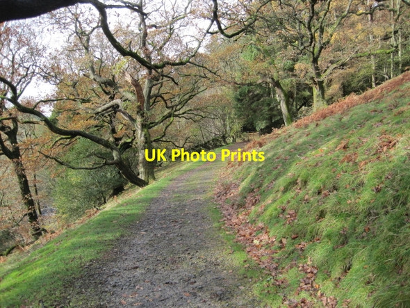 Photo 6"x4" Drive leading to Barbon Manor Barbon c2010