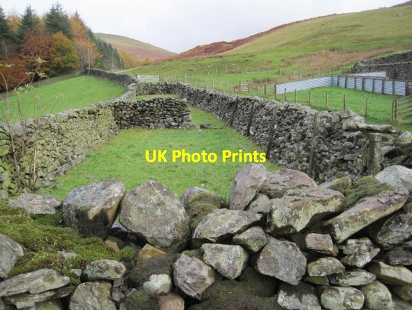 Photo 6"x4" Sheep Pens near High Bank House Barbon c2010
