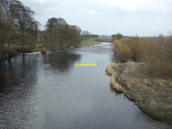 Photo 6"x4" River Ure from Wensley bridge, looking downstream Wensley\/SE0989 c2010