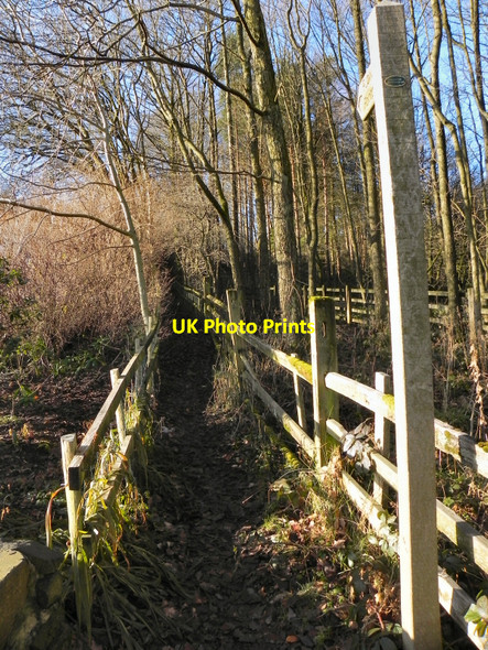 Photo 6"x4" Footpath to Hazelhurst Wood Bromley Cross\/SD7313 c2010