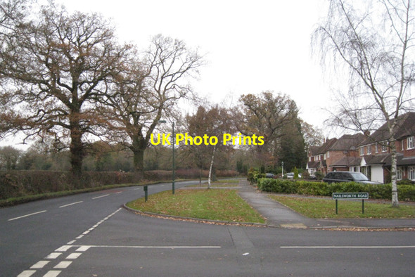 Photo 6"x4" Southwest edge of Dorridge B93 Box Trees c2010