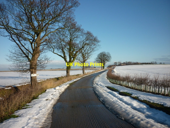Photo 6"x4" The way to Nuthill Farm Hedon c2010