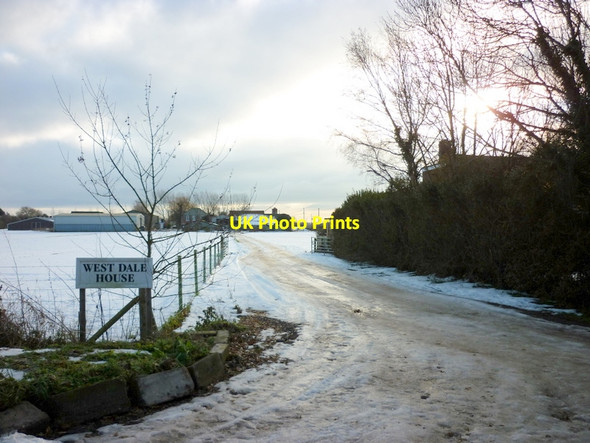 Photo 6"x4" The way to West Dale House, Neat Marsh Road Hedon c2010