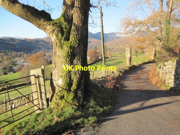 Photo 6"x4" Bridleway and Lane  leading to Ambleside Ambleside c2010