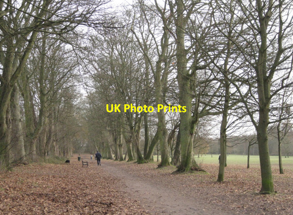 Photo 6"x4" Avenue, Dorridge Park B93 Packwood Gullet c2010