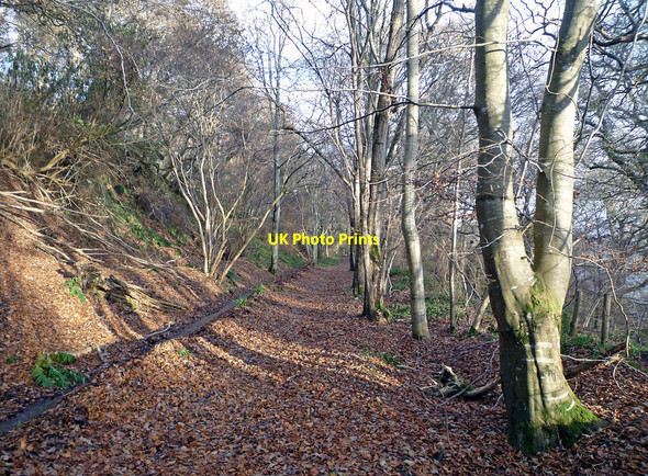 Photo 6"x4" The old Avoch to Fortrose Railway Line Fortrose c2010