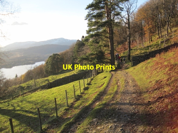 Photo 6"x4" Bridleway towards Skelghyll Wood Ambleside c2010