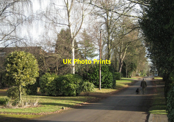 Photo 6"x4" Temple Road, Dorridge B93: 2 Knowle Grove c2010
