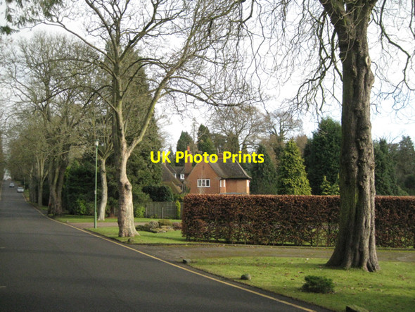 Photo 6"x4" Avenue Road, Dorridge B93 Knowle Grove c2010