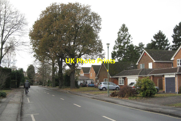 Photo 6"x4" Oaks in Mill Lane, Dorridge B93 Knowle Grove c2010